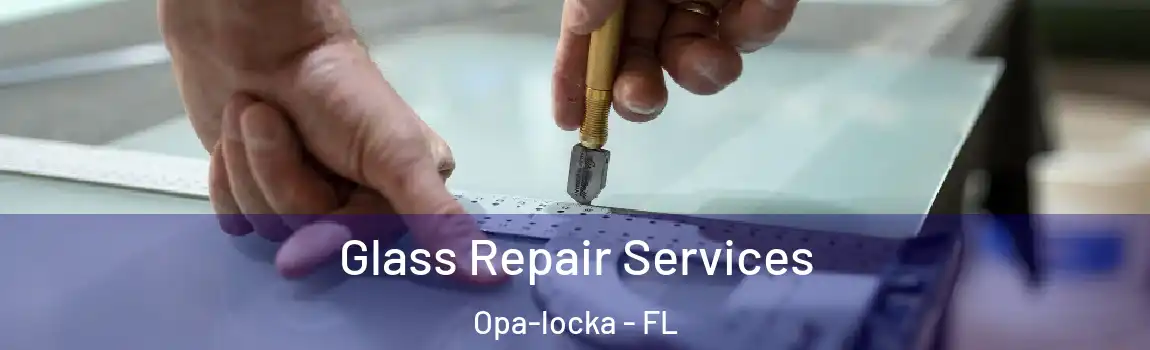 Glass Repair Services Opa-locka - FL