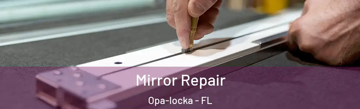Mirror Repair Opa-locka - FL