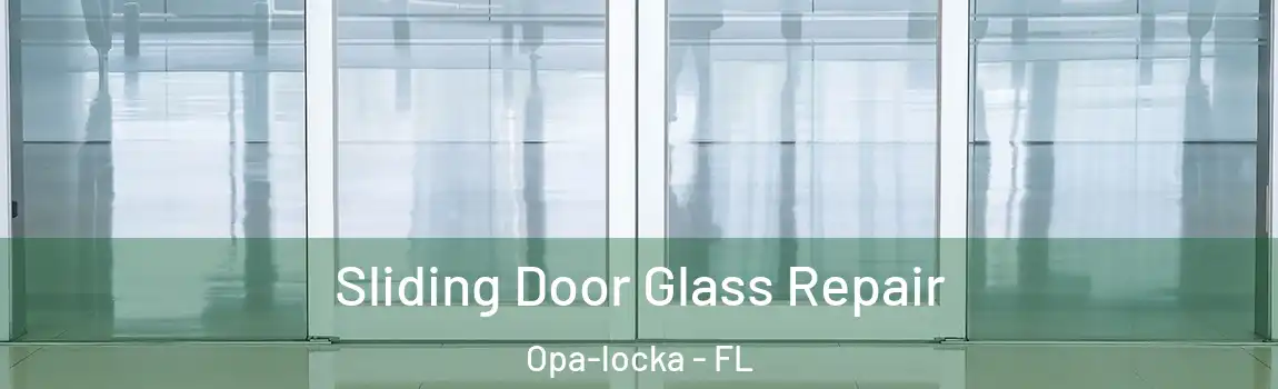 Sliding Door Glass Repair Opa-locka - FL