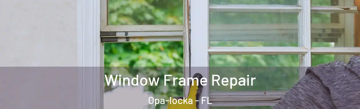 Window Frame Repair Opa-locka - FL