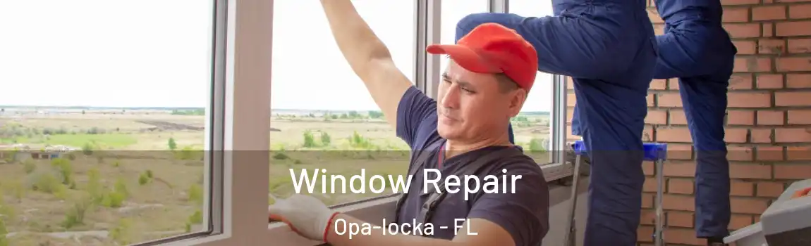 Window Repair Opa-locka - FL
